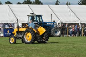 AGM 3831