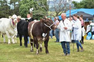 AGM 4140