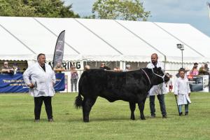 AGM 4175