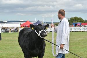 AGM 4179