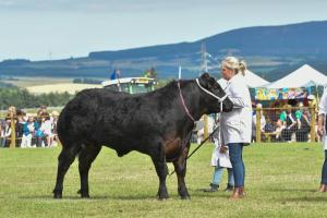 AGM 4181