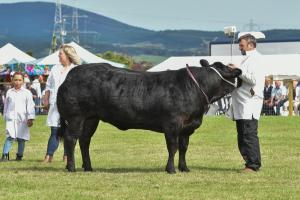 AGM 4182