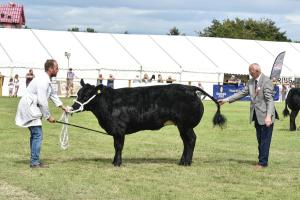 AGM 4185